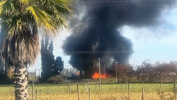 Incendio destruye oficinas de empresa maderera en Comalle