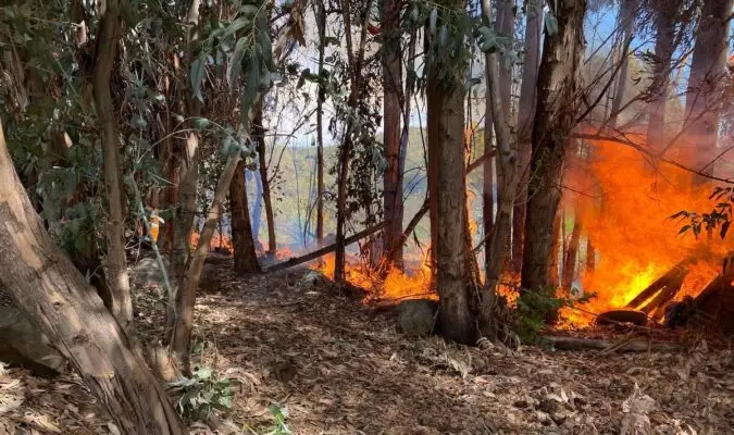 Incendio forestal moviliza a Bomberos y CONAF en sector La Unión de Romeral