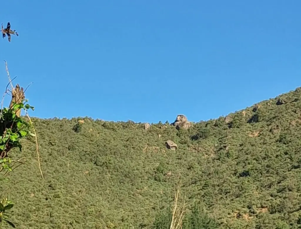 Intensa búsqueda de jóvenes talagantinos que se perdieron en cerros de Upeo