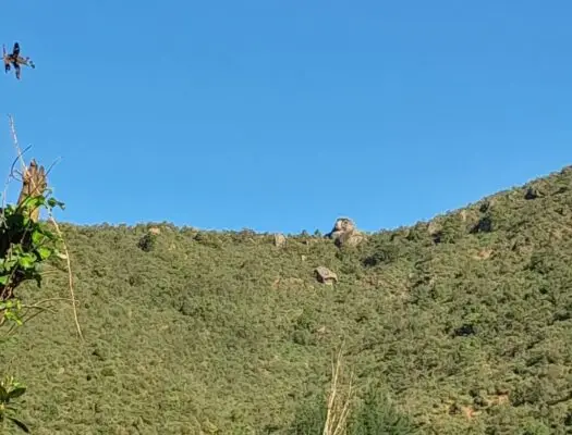 Intensa búsqueda de jóvenes talagantinos que se perdieron en cerros de Upeo