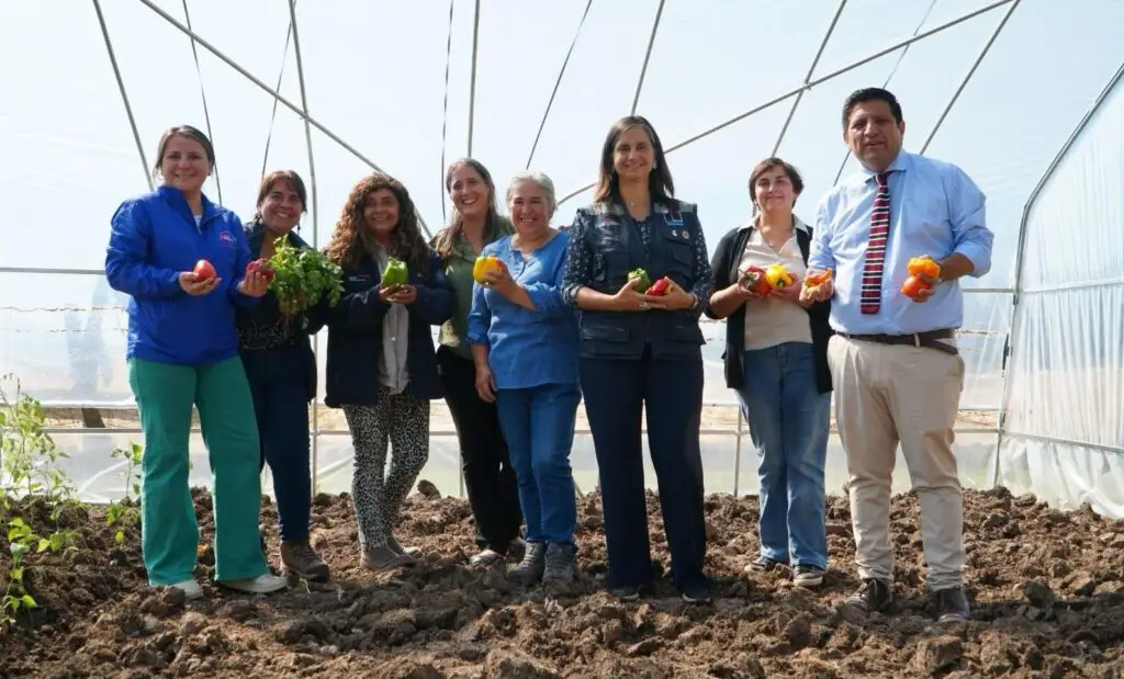 Ministra (s) de Agricultura y alcaldesa de Rauco entregan invernaderos a productoras locales