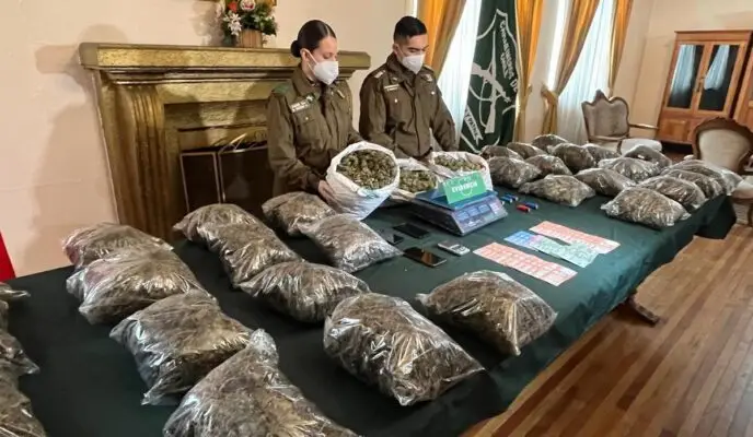 Desarticulan banda de narcotraficantes y decomisan más de 22 kilos de marihuana en el Maule