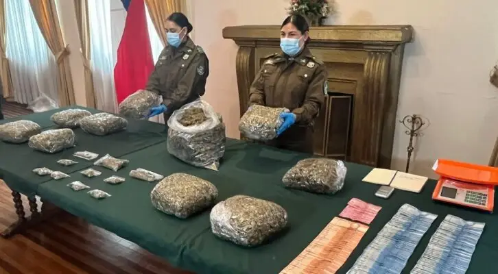 Desbaratan banda de narcotraficantes en Talca: incautaron más de 12 kilos de marihuana