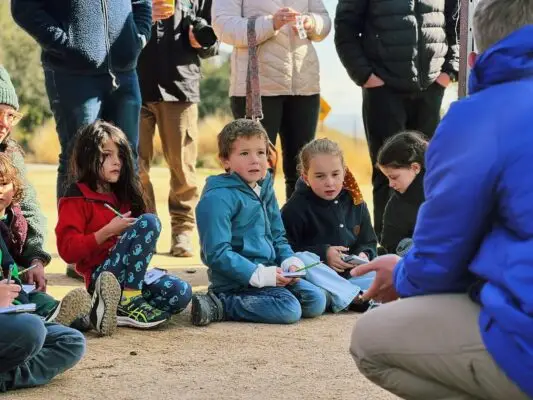 Curicó lanza programa gratuito de invierno con talleres y deportes para niños