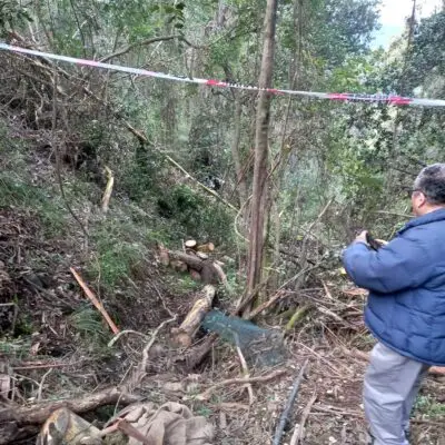 Denuncian "daño irreparable" a reserva natural y fuente de agua en Vichuquén