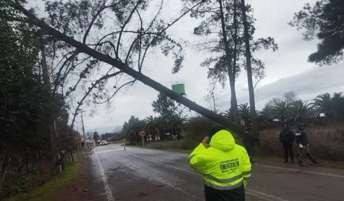 Maule enfrenta estragos por segundo sistema frontal