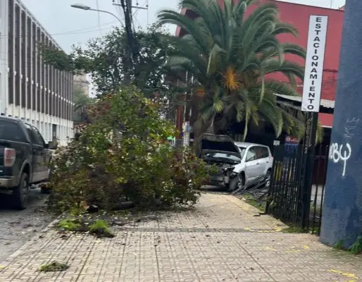 Conductor de colectivo se da a la fuga tras accidente en Curicó