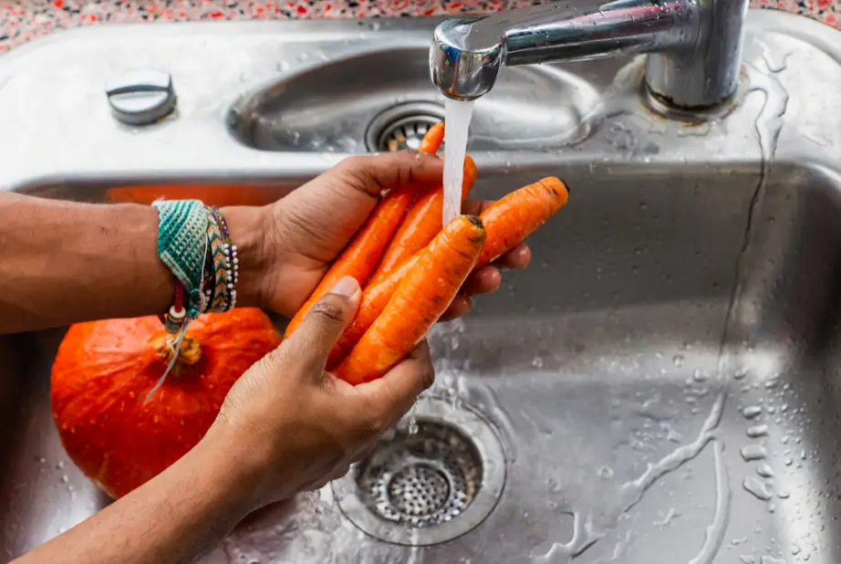 Inocuidad alimentaria: clave para evitar enfermedades y proteger la salud pública