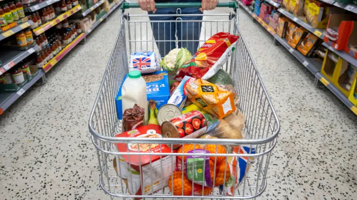 Desesperada por empleo, madre curicana pierde ahorros por sofisticada estafa con falsas ofertas de trabajo