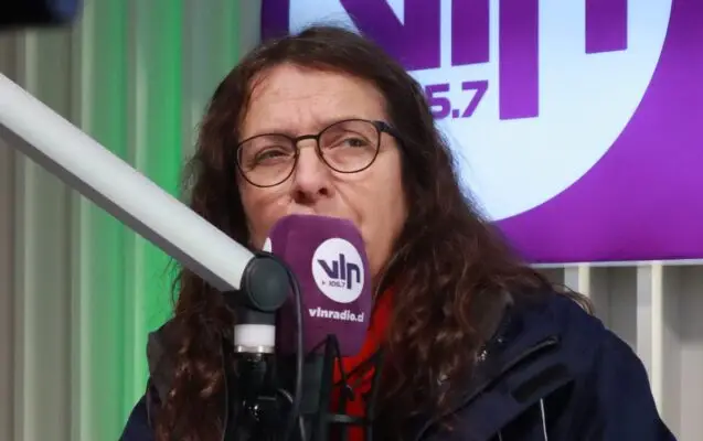 Subsecretaria de Educación detalla plan para saldar deudas de los DAEM en proceso de desmunicipalización