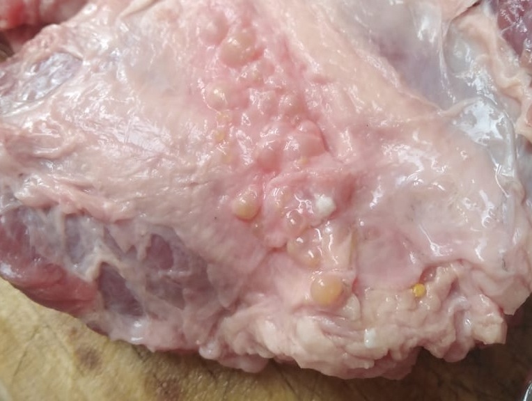 Cliente compró carne contaminada con parásitos en supermercado de Curicó |  Denuncias | VLN Radio